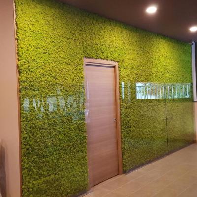 Vetraio Cantoro Bustoarsizio 019